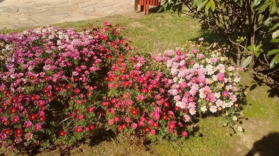 Alen Do Mis - Hotel Rural Фос Экстерьер фото